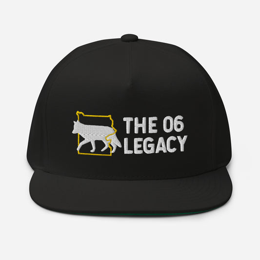 Embroidered flat bill cap